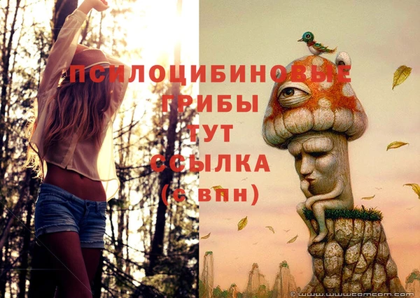 МДМА Касимов