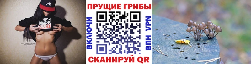 наркошоп  Спас-Деменск  Псилоцибиновые грибы прущие грибы 